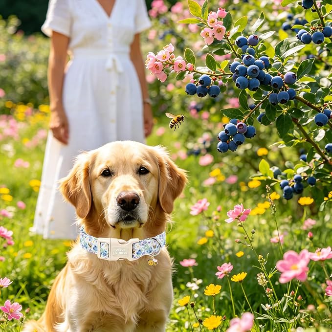 Unique style paws Dog Collar Plastic Buckle with Pendant Puppy Collar for Spring Summer Blueberry Bee for Small Medium Large Boys Girls Dogs
