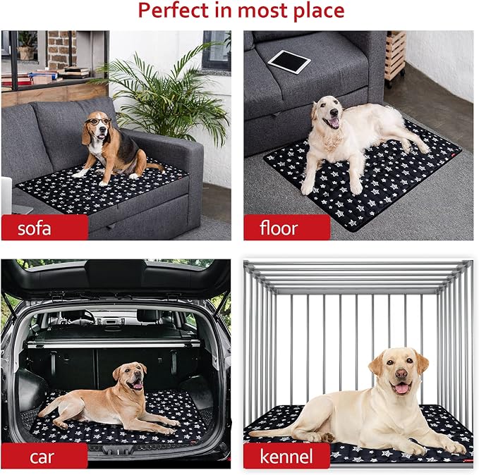 PetSafe 36" x 23" Soft Dog Bed Mat, Cute Prints, Personalized, Anti-Slip, Machine Washable Kennel Pad