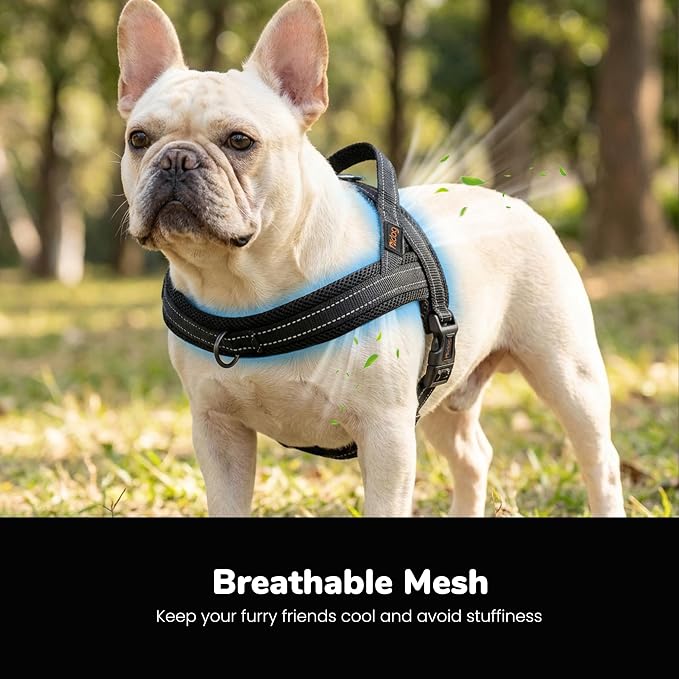 Didog No Pull Dog Harness with Soft Mesh Padded,Reflective & Quick Fit Light Weight Dog Strap Vest Harness,Easy for Walking Training (S:Chest 18-22", Mesh-Black)
