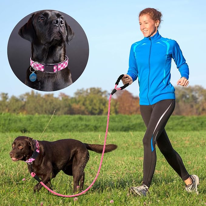 Ladoogo Reflective Dog Collar Padded with Soft Neoprene Breathable Adjustable Nylon Dog Collars for Small Medium Large Dogs (X-Small (Pack of 1), Pink Plaid Collar+Leash)