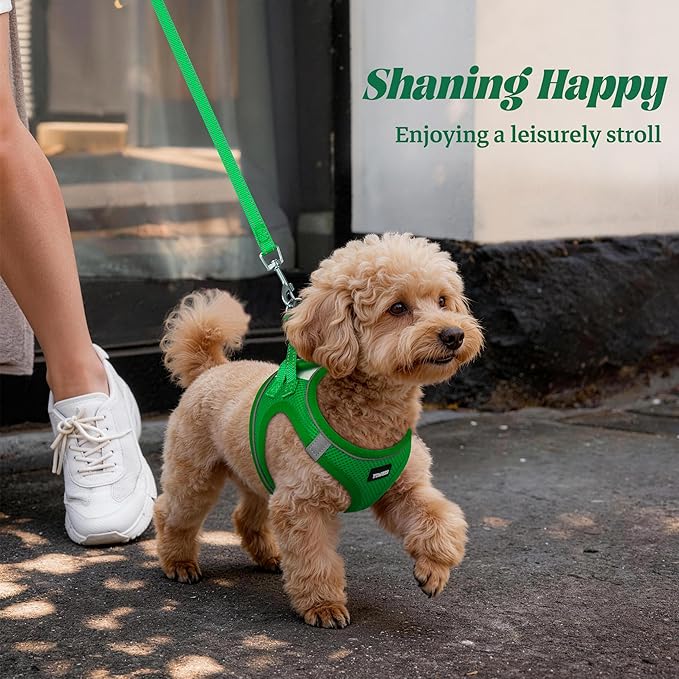 YIMEIS Dog Harness and Leash Set, No Pull Soft Mesh Pet Harness, Reflective Adjustable Puppy Vest for Small Medium Large Dogs, Cats (Green, Small (Pack of 1)