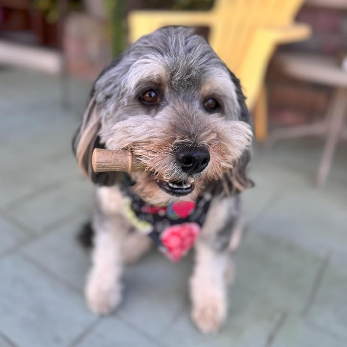 SPOT Bam-Bones Plus Bamboo Stick – Bamboo Fiber & Nylon, Durable Long Lasting Dog Chew for Aggressive Chewers – Great Toy for Adult Dogs & Puppies Under 60lbs, Non-Splintering, 5.25in, Chicken Flavor