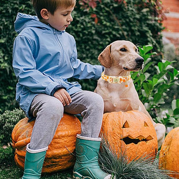 Lionheart Glory Halloween Dog Collar - Pumpkin Pink, Heavy Duty Adjustable Fall Collar for Medium Female or Male Dogs