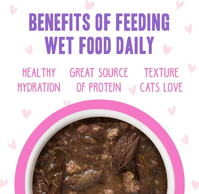 Weruva B.F.F. OMG - Best Feline Friend Oh My Gravy!, Tuna & Duck Devour Me with Tuna & Duck in Gravy Cat Food, 3oz Pouch (Pack of 12)