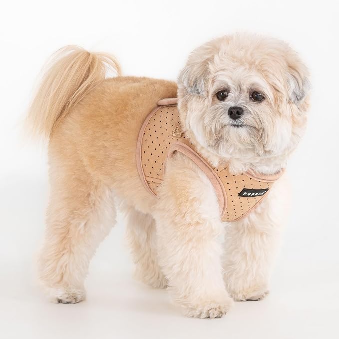 Puppia Dotty Dog Vest Harness B (Step-in) Fashionable Polka Dot Pattern Spring Summer Harness for Small Dogs, Beige, Small