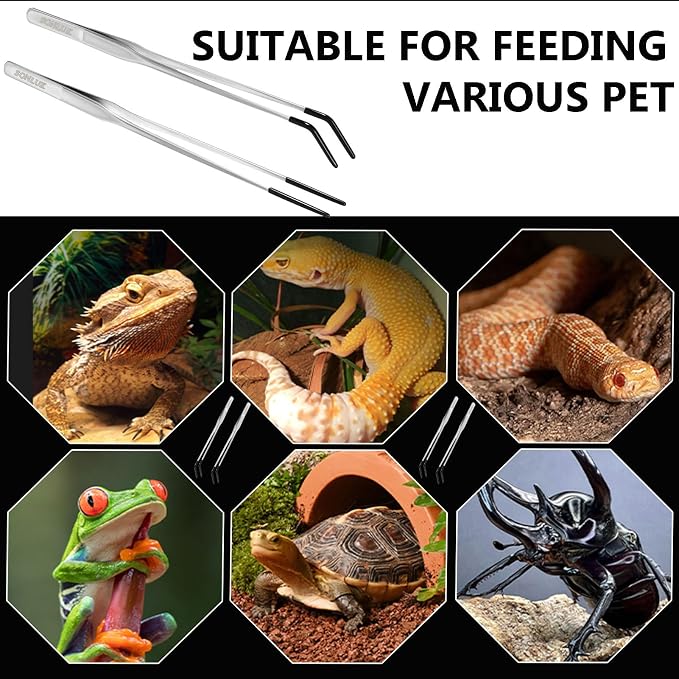3 PACK Stainless Steel Reptile Feeding Tongs,10.62" Straight &Curved Long Feeding Tweezers&Bowl Set,Non Slip Feeding Tools with Rubber Tip,Bearded Dragon Tank Accessories (B-Silver)