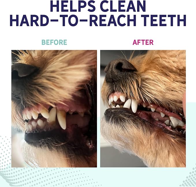 Health Extension Peanut Butter Dental Bones for Dogs, 14 Small Bones, Healthy Gums, Freshens Breath, Cleans Teeth, Training or Reward 6 oz Bag (Pack of 1)
