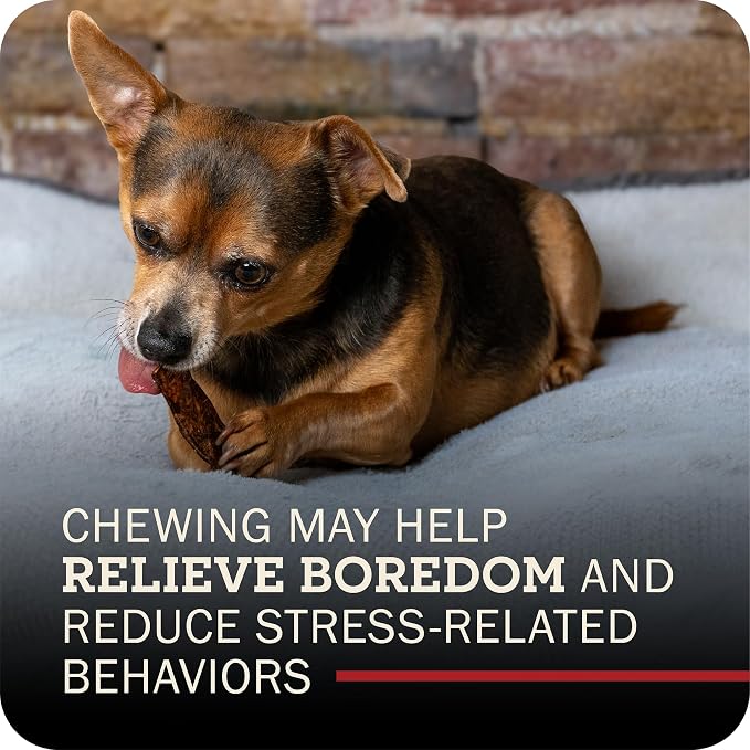Redbarn Pet Products All-Natural Rawhide Bully Slices - Bully Stick Flavor - Premium Grain-Free Beef Hide Treats High Protein Low Fat for Chewers - 9 oz Bag