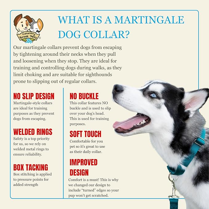 Country Brook Petz - Martingale Dog Collar - Heavy-Duty Training Collar with No Buckle - Service Dog Collar for All Pups - 20 Vibrant Colors (Teal, 3/8 Inch, 3XS)