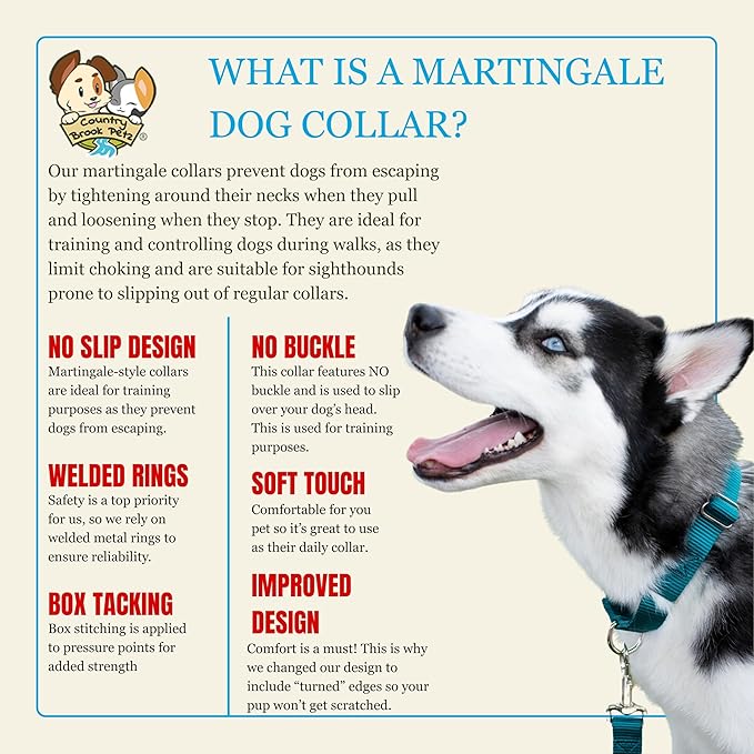 Country Brook Petz - Martingale Dog Collar - Heavy-Duty Training Collar with No Buckle - Service Dog Collar for All Pups - 20 Vibrant Colors (Teal, 3/8 Inch, 2XS)