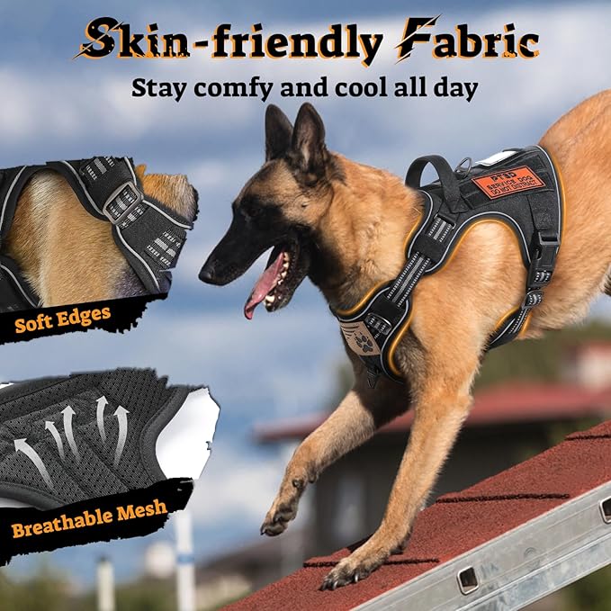 rabbitgoo Tactical Dog Harness for Small Dogs No Pull Adjustable Military Vest with Handle MOLLE Reflective Heavy Duty Dog Vest for Walking Training Hunting Outdoor Working Medium Size Dog Black S