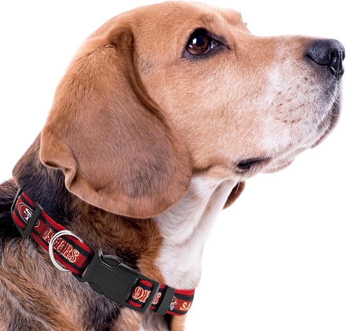 Pets First NFL San Francisco 49ers Licensed PET COLLAR, Large - Heavy-Duty, Strong, and Durable Dog Collar. Available in 31 Football Teams and 4 Sizes