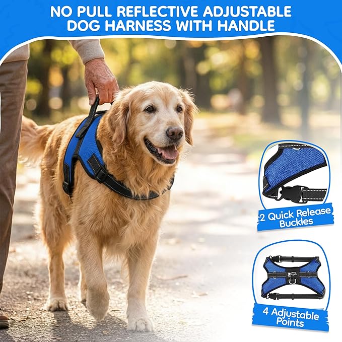 No Pull Reflective Adjustable Dog Harness With Handle- Comfortable Soft All Weather Mesh, Easy On Puppy Harness For Small Medium and Large Dogs (Blue) X-Large