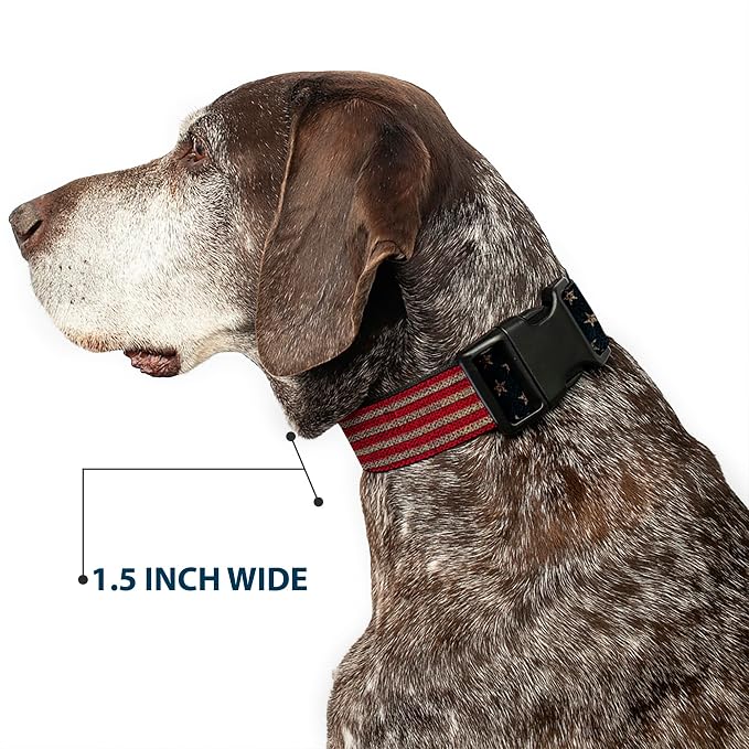 Buckle-Down Plastic Clip Collar - Vintage US Flag Stretch - 1.5" Wide - Fits 16-23" Neck - Medium
