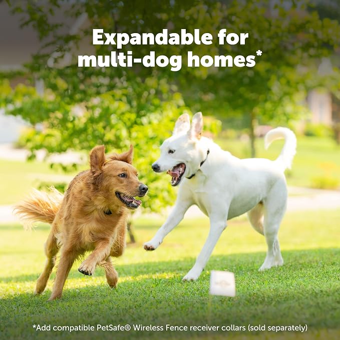 PetSafe Stay & Play Wireless Fence with Replaceable Battery Collar No Wire to Bury Covers 3/4-Acre Yard for Dogs 5 lbs and Up Portable Design from the Parent Company of Invisible Fence Brand
