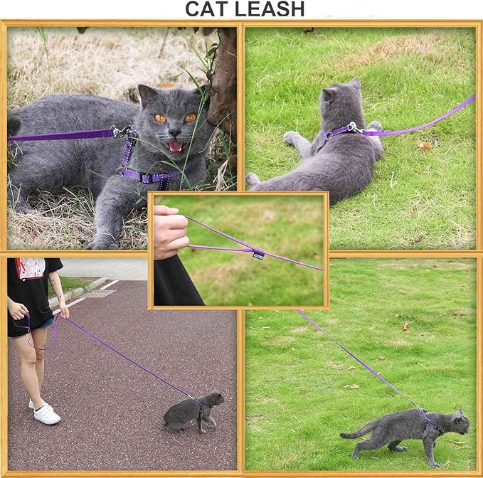 AMAGOOD 6 FT Puppy/Dog Leash, Strong and Durable Traditional Style Leash with Easy to Use Collar Hook, Great for Small, Medium and Large Dogs (5/8 in x 6 ft, Black and Purple 2-Pack)