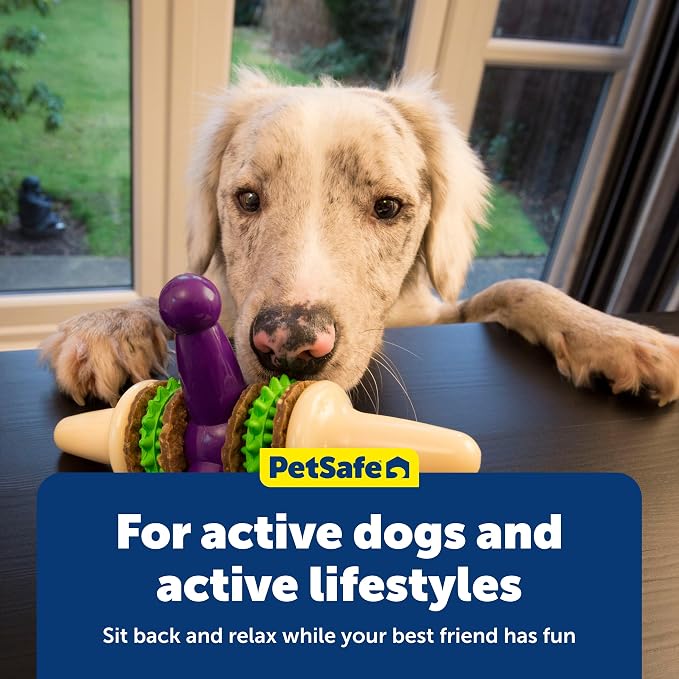 PetSafe Busy Buddy Jack - Treat Holding Dog Chew Toys - Helps Clean Teeth - Vanilla Scented Rubber for Strong Chewers - Treat Refills Included - Interactive Dog Toy Keeps Dogs Busy - Purple, Large