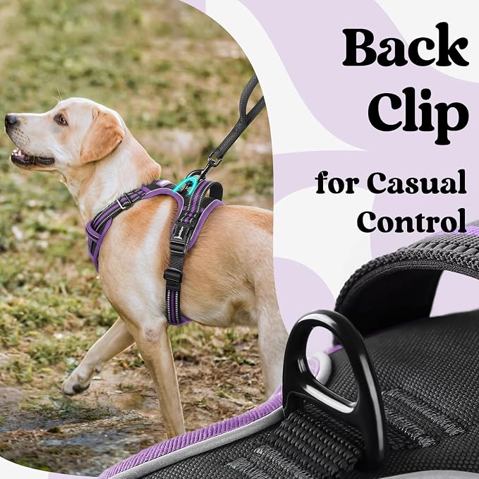 rabbitgoo Dog Harness Small Sized, No Pull Easy On & Off with 3 Buckles Pet Harness, Adjustable Soft Walking Vest with 2 Clips and Handle, Reflective for Small Dogs, Black & Purple, S