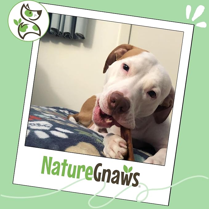 Nature Gnaws Bully Sticks for Dogs 5-6" (1Lb) - Mixed Thickness - Long Lasting for Aggressive Chewers and Large Dogs - Natural Beef Dog Chew Bones