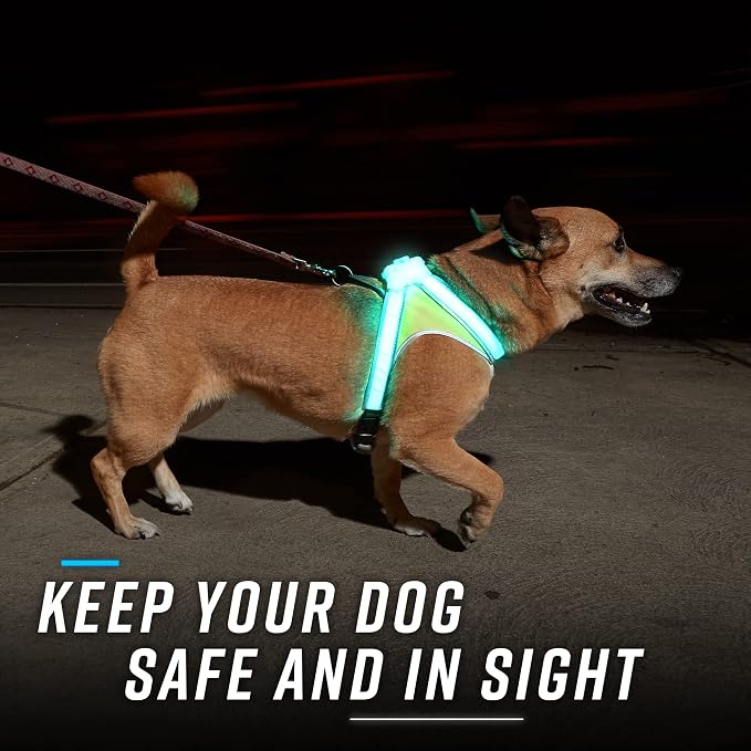 Noxgear LightHound (Medium) + Wrist Light – Illuminated and Reflective Harness for Dogs Including Multicolored LED Fiber Optics (USB Rechargeable, Adjustable, Lightweight, Rainproof)
