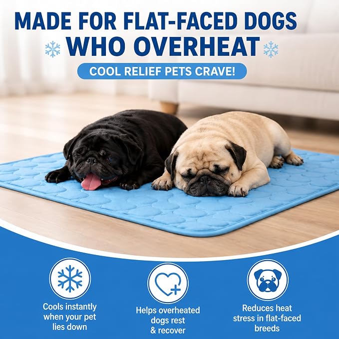 Umphora Cooling Mat, Pet Cooling Mat for Small Medium Large Dog (Umphora CoolBreath Mat, Large (Large)