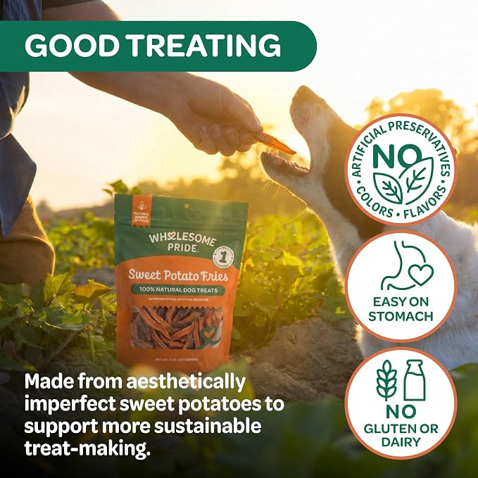 Wholesome Pride Healthy Sweet Potato Fries – Sensitive Stomach Dog Treats, No Preservatives, Single-Ingredient, No Grain, 8 oz