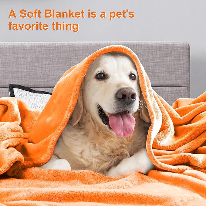 DREAMNINE Soft Fall Fuzzy Fleece Throw Blanket for Couch Sofa 50" x 60", Decorative Solid Lightweight Velvet Blanket for Chair, Cozy Accent Shaggy Micro Plush Flannel Blankets for Bedroom Dorm, Orange