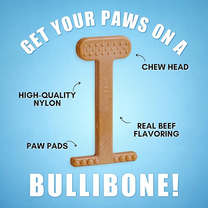 Bullibone Nylon Dog Chew Toy for Aggressive Chewers - Dental Hygiene Bone with Beef Flavor, Durable Tough Chew Toys for Small Dogs, Indestructible Dog Bone - Single