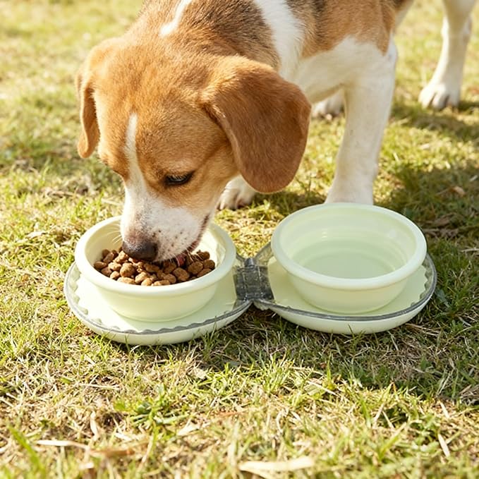 Zegcohjave Collapsible Dog Bowls,Travel Dog Bowl, Dog Water Bowl,Cat Bowl,Portable Pet Bowl, Suitable for Travel, Camping, and Hiking(Light Yellow)