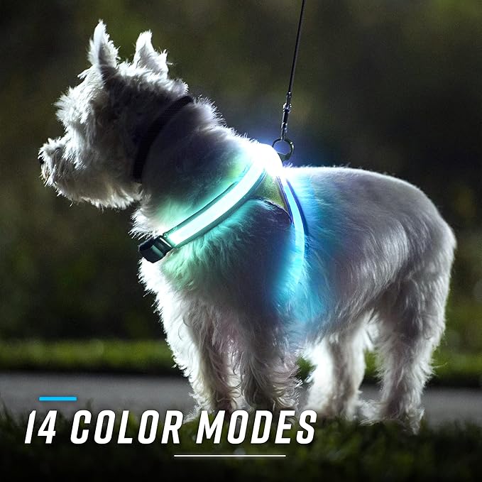 Noxgear LightHound (X-Large) + Wrist Light – Illuminated and Reflective Harness for Dogs Including Multicolored LED Fiber Optics (USB Rechargeable, Adjustable, Lightweight, Rainproof)
