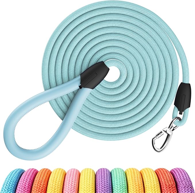 Macaron Blue Dog Leash 5ft,Pet Lead for Medium Large Dogs,Exclusive Industrial Mold Leather Handle, Premium Soft Padded Grip, High-Density Webbing, Durable Training Leash,Candy-Colored Style