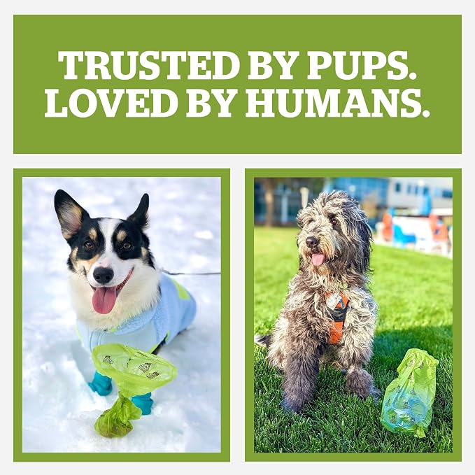Pogi's Compostable Poop Bags for Home & Yard – Leak-Proof, Extra-Large, Made with Plants (Single Roll, 300-Count)