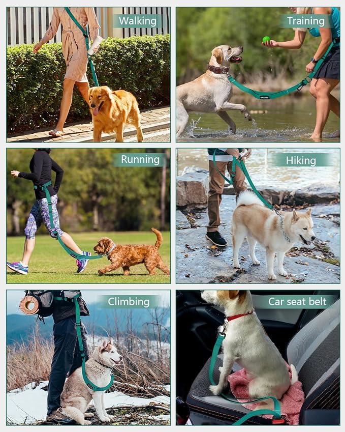 Hands Free Dog Leash, Multifunctional Crossbody Dog Leash, 5.9-9.5Ft Long Waist Belt with Car Seatbelt and Double-Sided Reflective Stitches for Medium and Large Dogs Walking, Jogging(Green)