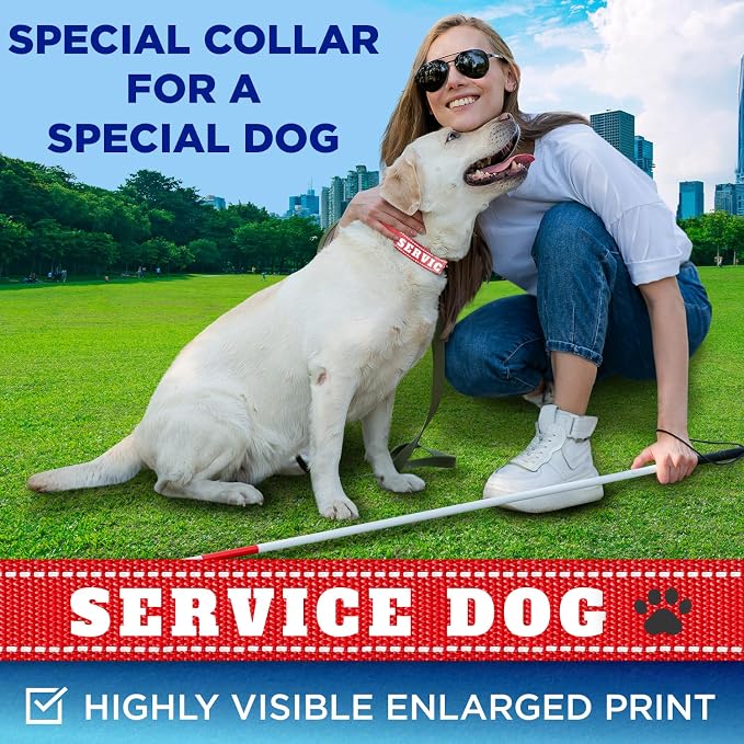 TECEUM Reflective Pet Collar – Red - Service Dog – L – Extra Soft Padding – Basic Nylon Dog Collar – Quick Release Buckle – Fits Small, Medium and Large Dogs, Puppies, Cats