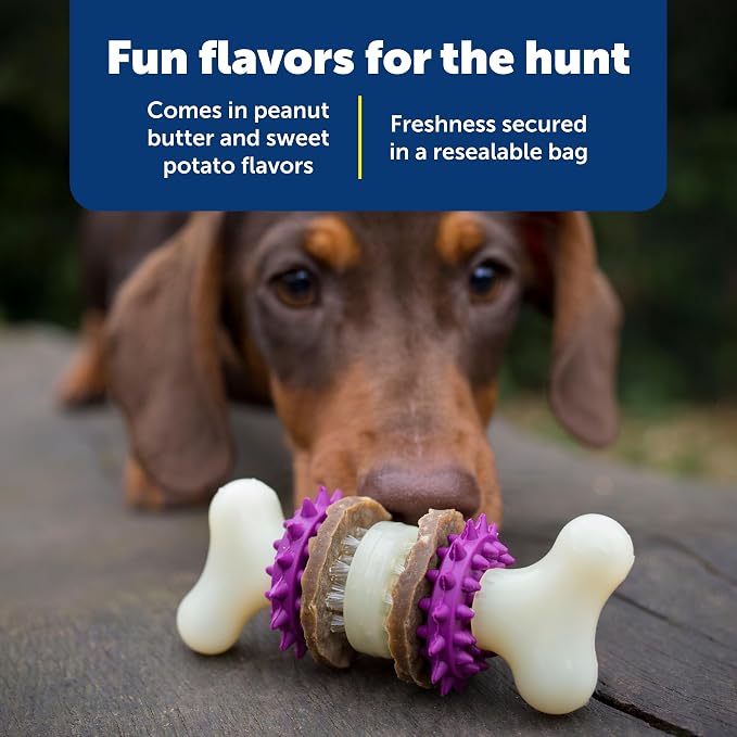 PetSafe Rawhide Treat Ring Refills, Variety Pack, Size B, Original Rawhide and Peanut Butter Flavor, Replacement Treats Busy Buddy Treat Ring Holding Toys (Pack of 2)