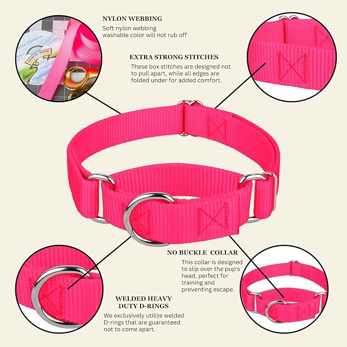 Country Brook Petz - Martingale Dog Collar - Heavy-Duty Training Collar with No Buckle - Service Dog Collar for All Pups - 20 Vibrant Colors (Hot Pink, 3/8 Inch, 2XS)