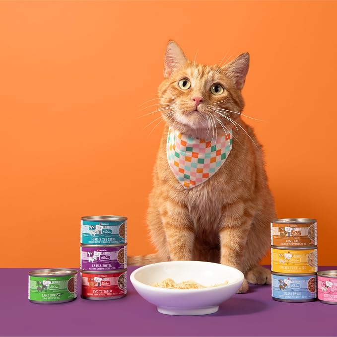 Weruva Cats in The Kitchen, The Coolsville Catch! Variety Pack, 6oz Can (Pack of 12)