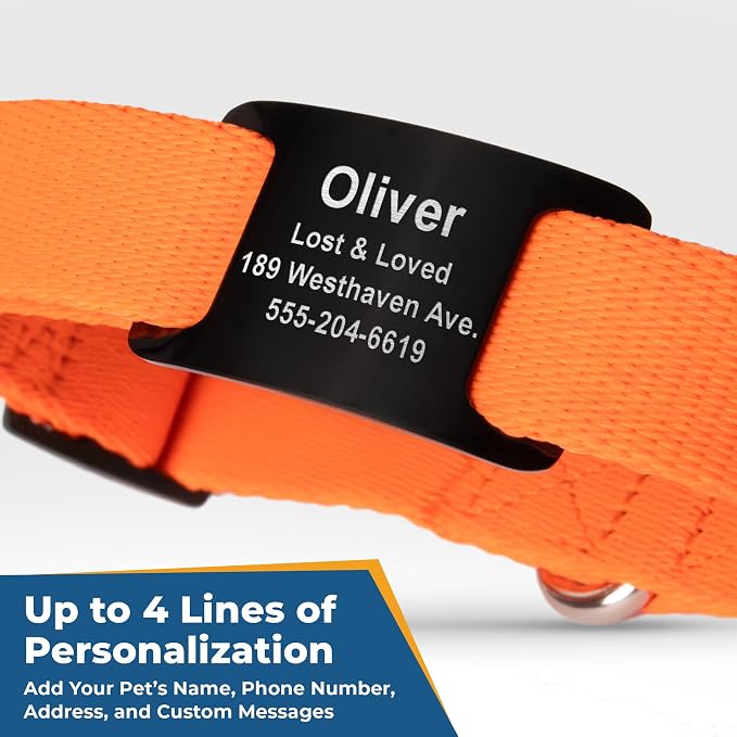 GoTags Personalized Dog ID Tag Collar, Adjustable Nameplate Collar with Custom Engraved Steel Slide On Pet Tag, Silent, No Noise Identification Name Number Many Color Options (Classic, Large)