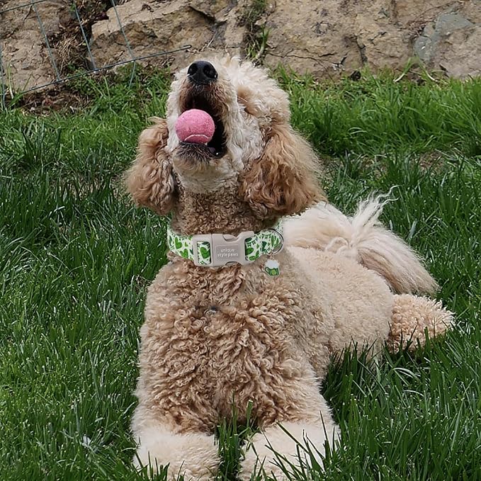Unique style paws St. Patrick's Day Dog Collar Plastic Buckle Collar with Pendant Green Lucky Magic Hat Gift for Small Medium Large Boys Girls Dogs