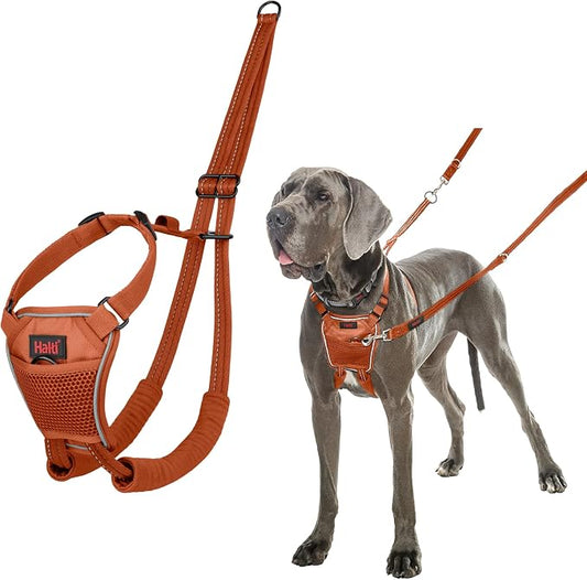 Halti No Pull Harness - Stop Your Dog Pulling on The Leash. Adjustable, Lightweight and Easy to Use. Reflective Dog Training Harness for Large Dogs (Size L, Burnt Orange)