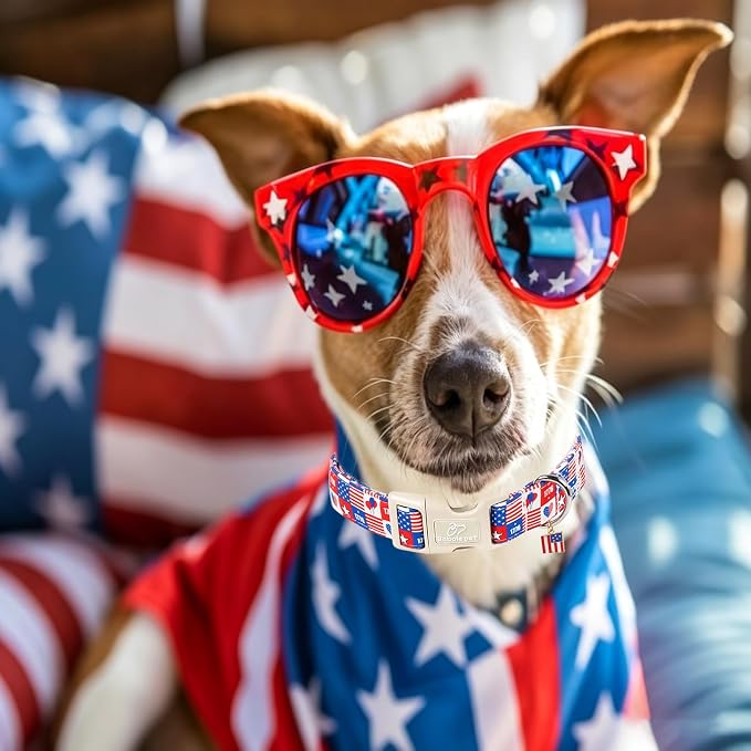4th of July Dog Collar Blue Patriotic Dog Collars for Medium Dogs - Lightweight Adjustable 1776 Boy Girl Puppy Collars Cute Independence Day Male Female Dogs Collar M