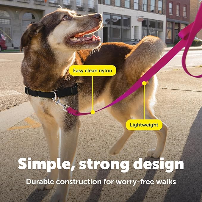 PetSafe Nylon Dog Leash Strong, Durable, Traditional Style Lead with Easy to Use Bolt Snap for Small, Medium and Large Dogs 3/4" x 4', Raspberry