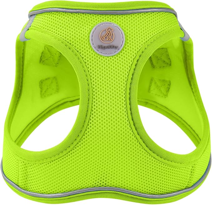Hipubby Dog Harness and Leash Set, No Pull Soft Mesh Puppy Harness for Small Medium Dogs, Cats - Step in Reflective Breathable Lightweight Vest Harness for Walking, Training - Bright Green, L