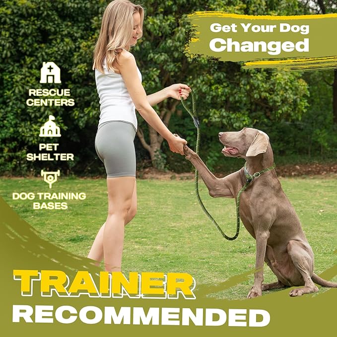 Fida Durable Slip Lead Dog Leash, 6 FT x 3/8" Heavy Duty Comfortable Strong Rope Slip Lead for Small Dogs and Puppies, No Pull Pet Training Leash with Highly Reflective(3/8", Green)