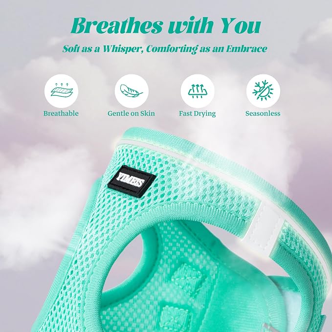YIMEIS Dog Harness and Leash Set, No Pull Soft Mesh Pet Harness, Reflective Adjustable Puppy Vest for Small Medium Large Dogs, Cats (Tiffany Blue, X-Small (Pack of 1)