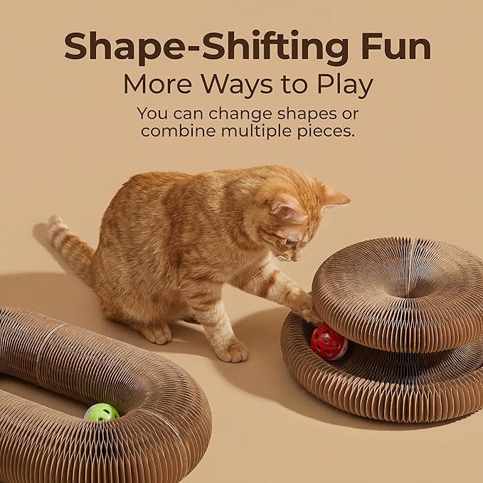 Magic Organ Cat Scratcher Board with 2 Bell Ball, Cat Ball Adventure The Ultimate Interactive Mental Physical Exercise for Indoor Cats Toy