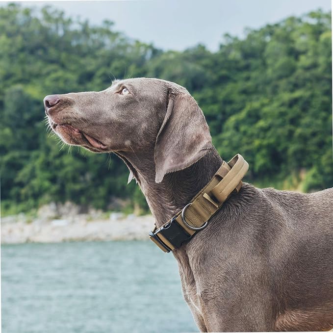 OneTigris Tough Dog Collars, Tactical Dog Collar with Handle, Milltary Adjustable Dog Collar with Heavy Duty Metal Buckle for Training (Large (Pack of 1), Brown)