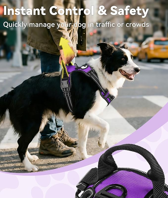 Joytale No Pull Dog Harness Medium Sized Dog, Reflective Pet Vest with Front Clip, Adjustable Soft Padded Harnesses with Easy Control Handle for Training and Walking, Purple, M