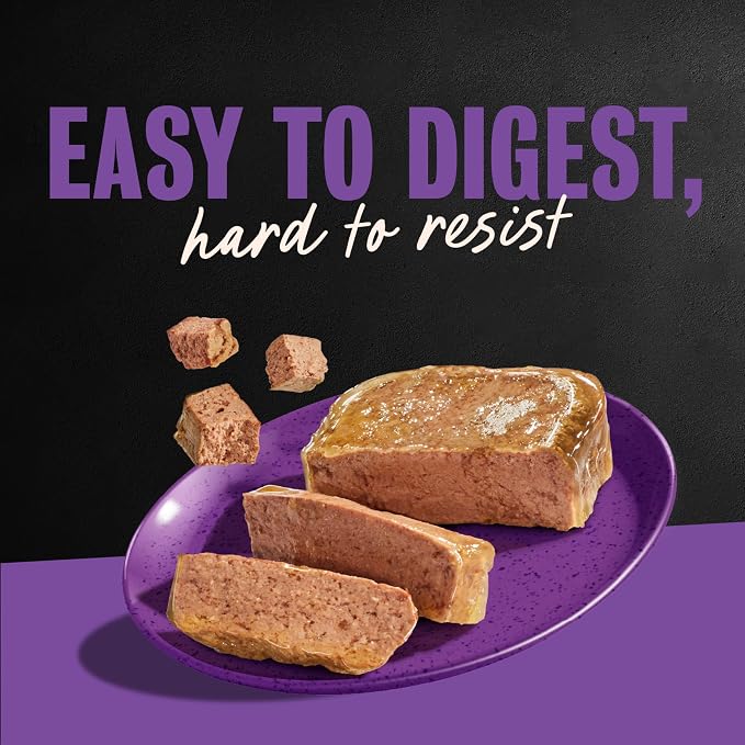 Cesar Classic Loaf in Sauce Adult Wet Dog Food, Grilled Chicken Flavor and Top Sirloin Flavor, 3.5 oz. Easy Peel Trays, Variety Pack (12 Count, Pack of 2)