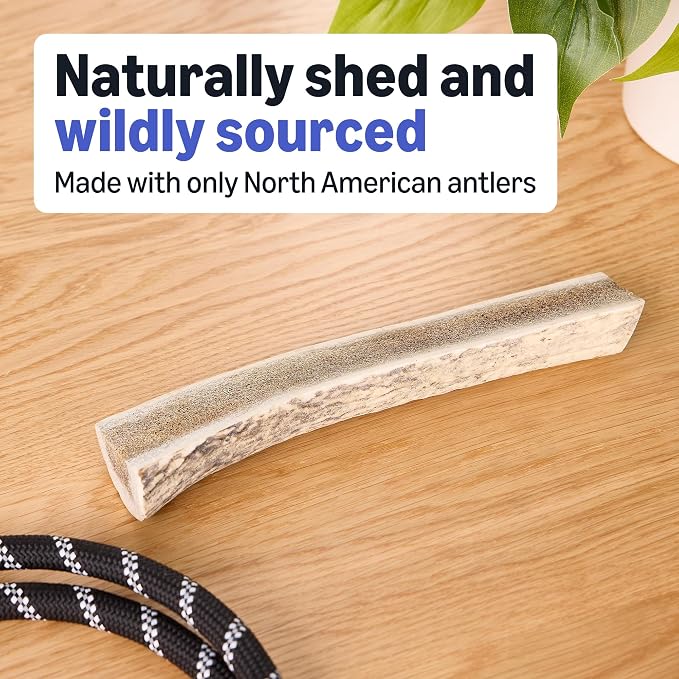 Amazon Basics Split Elk Antler, Naturally Shed, Long Lasting for Aggressive Chewers, Large (Best for Dogs 30-45 lbs) (Previously Wag)